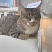 ヒメ日記 2025/07/09 23:01 投稿 みなみ 豊満倶楽部