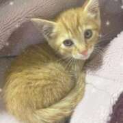 ヒメ日記 2025/10/21 19:20 投稿 みなみ 豊満倶楽部