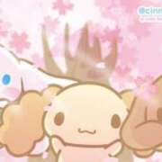 ヒメ日記 2025/04/04 23:08 投稿 いおり 制服これくしょん