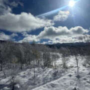 ヒメ日記 2025/01/10 15:12 投稿 つばさ 華椿（YESグループヨコハマ）