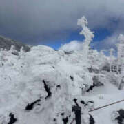 ヒメ日記 2025/01/11 14:20 投稿 つばさ 華椿（YESグループヨコハマ）