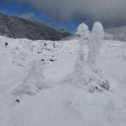 ヒメ日記 2025/01/13 14:35 投稿 つばさ 華椿（YESグループヨコハマ）