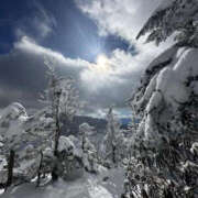 ヒメ日記 2025/01/15 17:44 投稿 つばさ 華椿（YESグループヨコハマ）