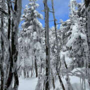 ヒメ日記 2025/01/17 15:25 投稿 つばさ 華椿（YESグループヨコハマ）