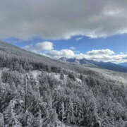ヒメ日記 2025/01/18 15:16 投稿 つばさ 華椿（YESグループヨコハマ）