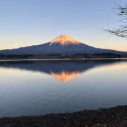 ヒメ日記 2025/01/20 16:00 投稿 つばさ 華椿（YESグループヨコハマ）