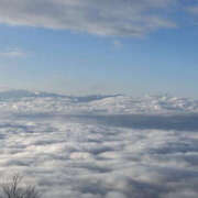 ヒメ日記 2025/01/22 23:09 投稿 つばさ 華椿（YESグループヨコハマ）