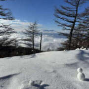 ヒメ日記 2025/01/27 17:10 投稿 つばさ 華椿（YESグループヨコハマ）