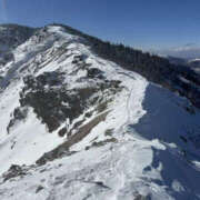 ヒメ日記 2025/02/01 14:50 投稿 つばさ 華椿（YESグループヨコハマ）