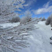 ヒメ日記 2025/02/12 16:05 投稿 つばさ 華椿（YESグループヨコハマ）