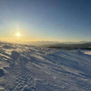 ヒメ日記 2025/02/15 14:57 投稿 つばさ 華椿（YESグループヨコハマ）