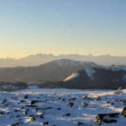 ヒメ日記 2025/02/16 14:53 投稿 つばさ 華椿（YESグループヨコハマ）