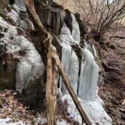 ヒメ日記 2025/02/21 22:12 投稿 つばさ 華椿（YESグループヨコハマ）