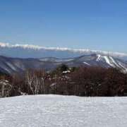 ヒメ日記 2025/02/26 14:59 投稿 つばさ 華椿（YESグループヨコハマ）