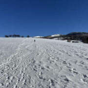 ヒメ日記 2025/02/28 16:14 投稿 つばさ 華椿（YESグループヨコハマ）