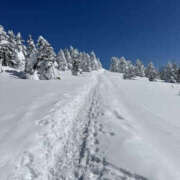 ヒメ日記 2025/03/01 14:38 投稿 つばさ 華椿（YESグループヨコハマ）