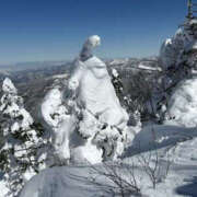 ヒメ日記 2025/03/02 14:30 投稿 つばさ 華椿（YESグループヨコハマ）