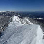ヒメ日記 2025/03/03 14:01 投稿 つばさ 華椿（YESグループヨコハマ）