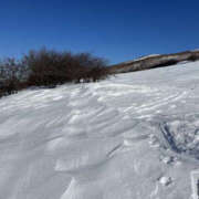 ヒメ日記 2025/03/09 14:39 投稿 つばさ 華椿（YESグループヨコハマ）