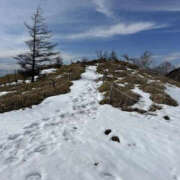 ヒメ日記 2025/03/19 15:59 投稿 つばさ 華椿（YESグループヨコハマ）