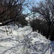 ヒメ日記 2025/03/23 14:46 投稿 つばさ 華椿（YESグループヨコハマ）