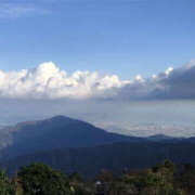 ヒメ日記 2025/03/27 15:07 投稿 つばさ 華椿（YESグループヨコハマ）