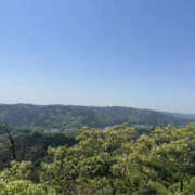 ヒメ日記 2025/04/01 15:56 投稿 つばさ 華椿（YESグループヨコハマ）