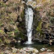 ヒメ日記 2025/04/12 14:41 投稿 つばさ 華椿（YESグループヨコハマ）