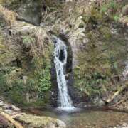 ヒメ日記 2025/04/15 16:02 投稿 つばさ 華椿（YESグループヨコハマ）