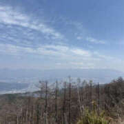 ヒメ日記 2025/04/18 15:28 投稿 つばさ 華椿（YESグループヨコハマ）