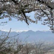 ヒメ日記 2025/04/25 15:39 投稿 つばさ 華椿（YESグループヨコハマ）