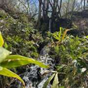 ヒメ日記 2025/05/09 16:09 投稿 つばさ 華椿（YESグループヨコハマ）