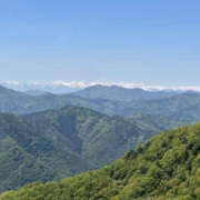 ヒメ日記 2025/05/18 14:29 投稿 つばさ 華椿（YESグループヨコハマ）