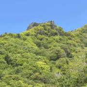 ヒメ日記 2025/05/19 15:13 投稿 つばさ 華椿（YESグループヨコハマ）