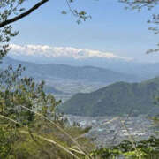 ヒメ日記 2025/05/20 16:48 投稿 つばさ 華椿（YESグループヨコハマ）