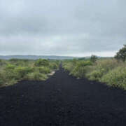 ヒメ日記 2025/05/25 14:31 投稿 つばさ 華椿（YESグループヨコハマ）