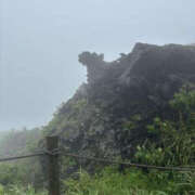 ヒメ日記 2025/05/30 16:29 投稿 つばさ 華椿（YESグループヨコハマ）