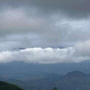 ヒメ日記 2025/06/01 15:04 投稿 つばさ 華椿（YESグループヨコハマ）