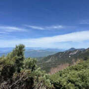 ヒメ日記 2025/06/08 15:06 投稿 つばさ 華椿（YESグループヨコハマ）