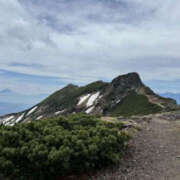 ヒメ日記 2025/06/13 15:47 投稿 つばさ 華椿（YESグループヨコハマ）