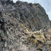 ヒメ日記 2025/06/15 14:47 投稿 つばさ 華椿（YESグループヨコハマ）