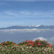 ヒメ日記 2025/07/02 15:55 投稿 つばさ 華椿（YESグループヨコハマ）