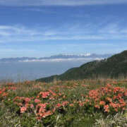 ヒメ日記 2025/07/03 15:38 投稿 つばさ 華椿（YESグループヨコハマ）