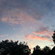 ヒメ日記 2025/07/11 15:06 投稿 つばさ 華椿（YESグループヨコハマ）