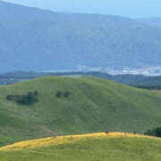 ヒメ日記 2025/07/20 14:52 投稿 つばさ 華椿（YESグループヨコハマ）