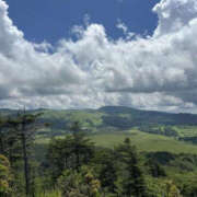 ヒメ日記 2025/07/25 15:38 投稿 つばさ 華椿（YESグループヨコハマ）