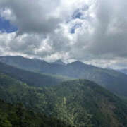 ヒメ日記 2025/07/31 16:32 投稿 つばさ 華椿（YESグループヨコハマ）