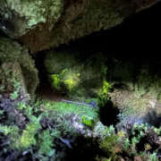 ヒメ日記 2025/08/04 15:32 投稿 つばさ 華椿（YESグループヨコハマ）