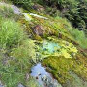 ヒメ日記 2025/08/07 16:39 投稿 つばさ 華椿（YESグループヨコハマ）