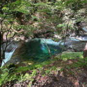 ヒメ日記 2025/08/09 14:45 投稿 つばさ 華椿（YESグループヨコハマ）